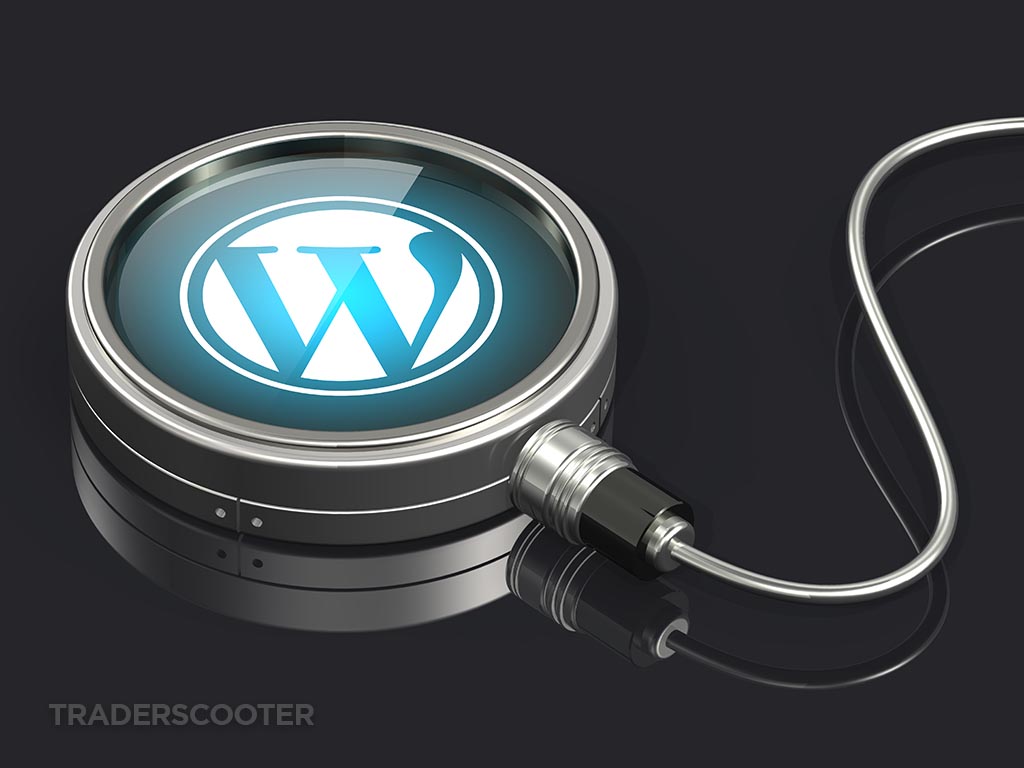 WordPress Plugin
